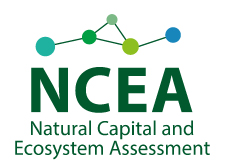 NCEA