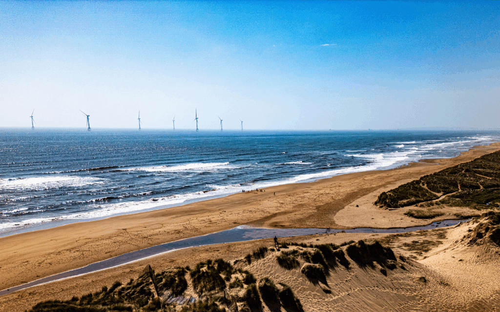 TRANSECTS